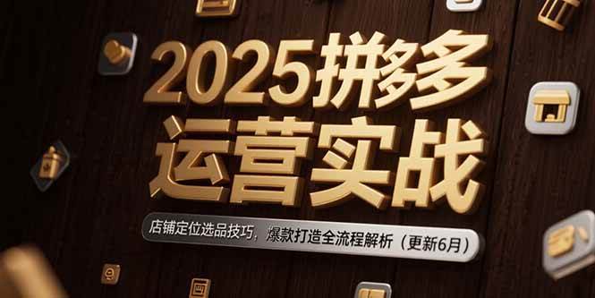（15235期）2025拼多多运营实战：店铺定位选品技巧，爆款打造全流程解析（更新6月）-轻创副业圈