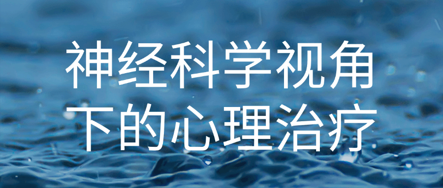 神经科学视角下的心理治疗-轻创副业圈