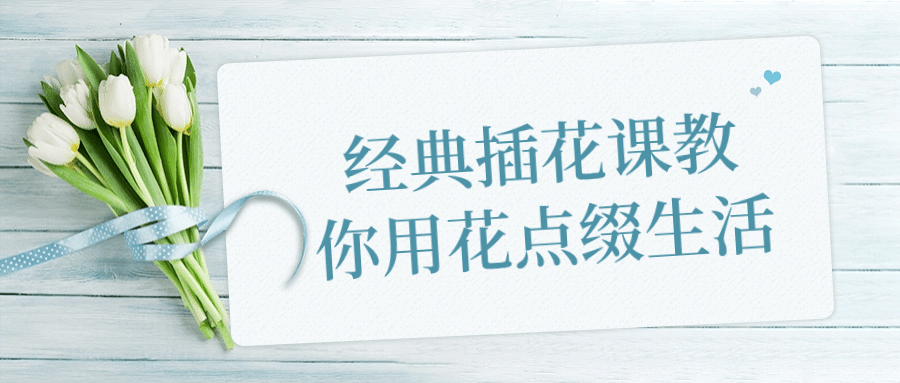 经典插花课教你用花点缀生活-轻创副业圈