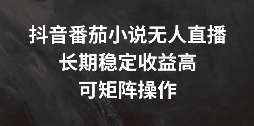 抖音番茄小说无人直播，长期稳定收益高，可矩阵操作-轻创副业圈