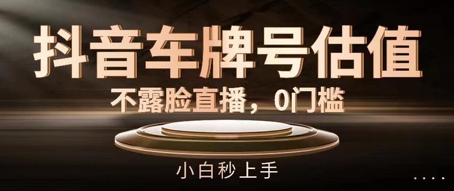 抖音车牌号估值，不露脸直播，0门槛，小白秒上手-轻创副业圈