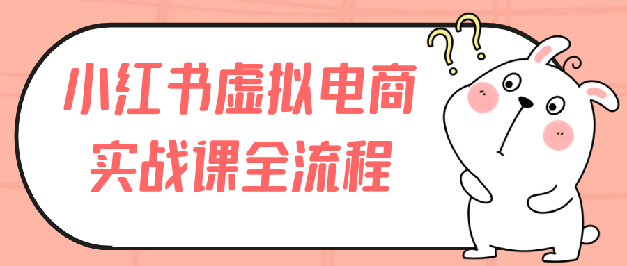 小红书虚拟电商实战课全流程-轻创副业圈