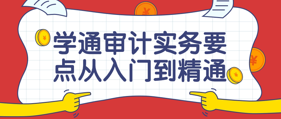 学通审计实务要点从入门到精通课-轻创副业圈