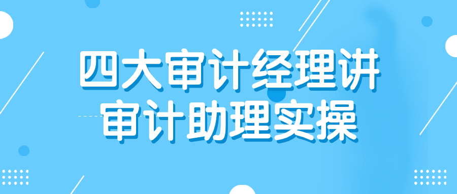 四大审计经理讲审计助理实操-轻创副业圈