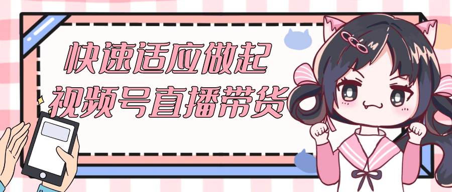 快速适应做起视频号直播带货-轻创副业圈