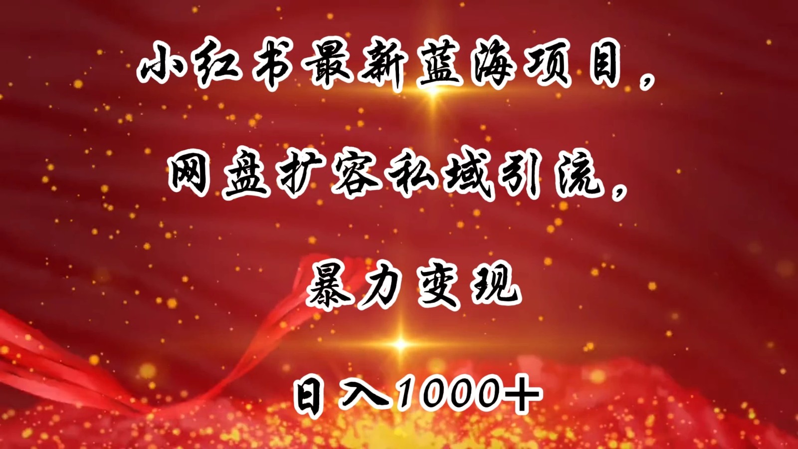 小红书最新蓝海项目，网盘扩容私域引流，暴力变现，日入1000+（附100T占位文件）-轻创副业圈