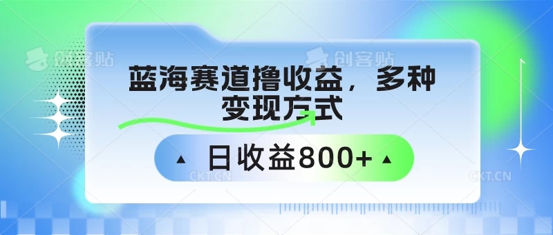 蓝海赛道撸收益，多种变现方式，日收益800+-轻创副业圈