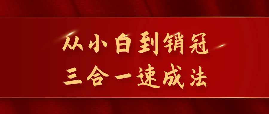 从小白到销冠三合一速成法-轻创副业圈