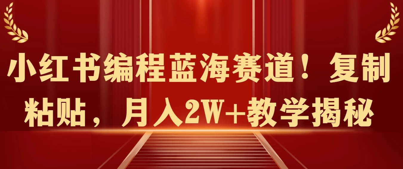 小红书编程蓝海赛道！复制粘贴，月入2W+教学揭秘-轻创副业圈