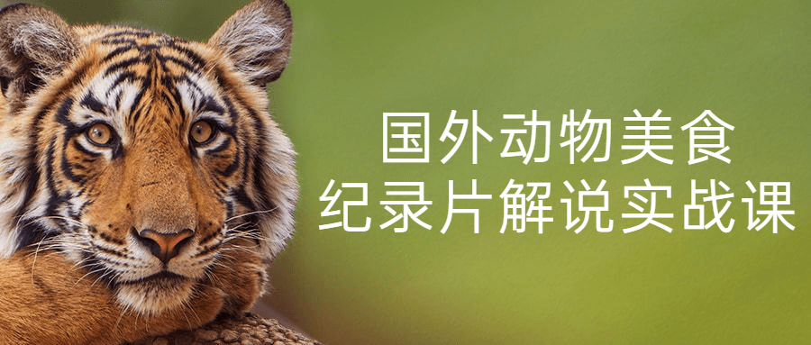 国外动物美食纪录片解说实战课-轻创副业圈