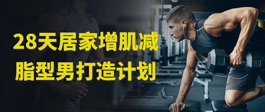 28天居家增肌减脂型男打造计划-轻创副业圈