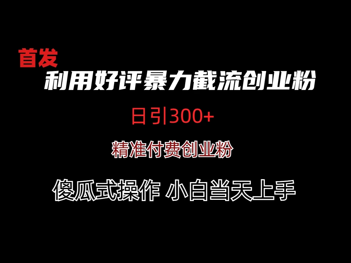 利用好评暴力截流付费创业粉，无需工具，简单且暴力的一个玩法-轻创副业圈