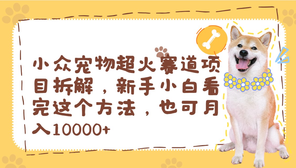 小众宠物超火赛道项目拆解，新手小白看完这个方法，也可月入10000+-轻创副业圈
