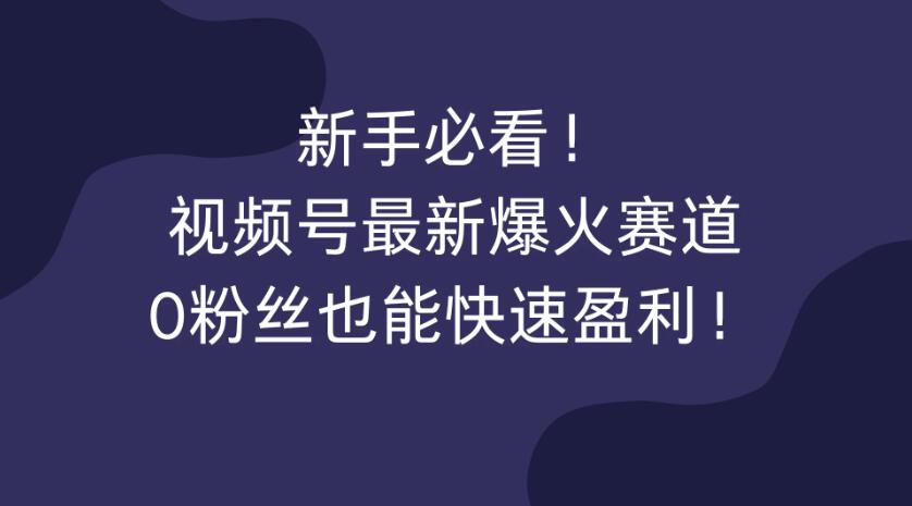 新手必看！视频号最新爆火赛道，0粉丝也能快速盈利！-轻创副业圈