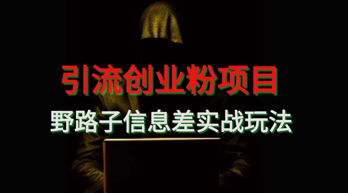 野路子信息差玩法实战教学，引流创业粉-轻创副业圈
