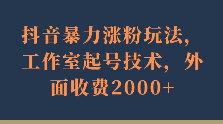 抖音暴力涨粉玩法，工作室起号技术，外面收费2000+-轻创副业圈