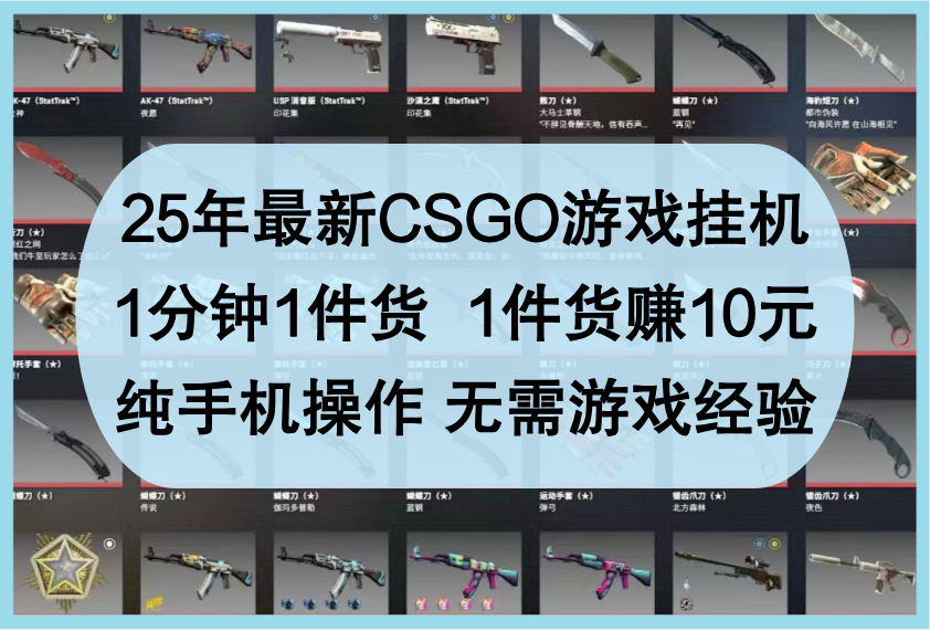 25年最新CSGO游戏挂机，1分钟1件货，1件货赚10元，纯手机操作，无需游戏经验-轻创副业圈