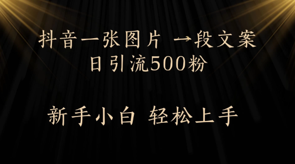 每天2分钟，抖音一张图片 一段文案日引流500粉-轻创副业圈