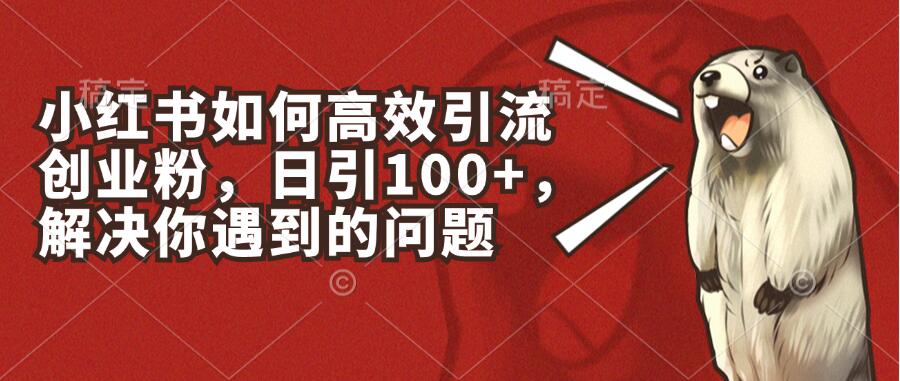 小红书如何高效引流创业粉，日引100+，解决你遇到的问题-轻创副业圈