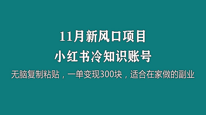11 月新风口项目，小红书冷知识账号，无脑复制粘贴，一单变现 300 块，适合在家做的副业-轻创副业圈
