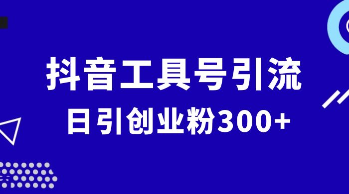 抖音工具号引流玩法，日引创业粉 300+-轻创副业圈