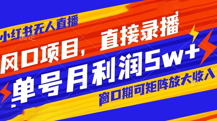 风口项目，小红书无人直播带货，直接录播，可矩阵，月入 5w+-轻创副业圈