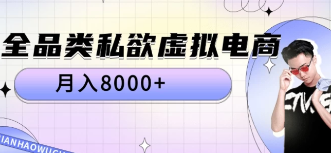 全品类私域虚拟电商 月入8000+保姆级教程-轻创副业圈