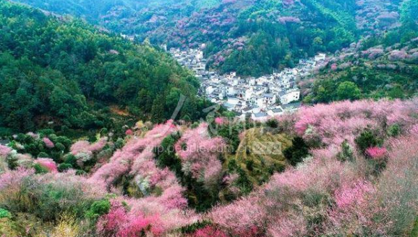 处女座如何处理生活中的细节问题？-轻创副业圈