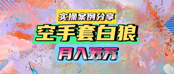 空手套白狼，月入过1W，实操案例分享-轻创副业圈
