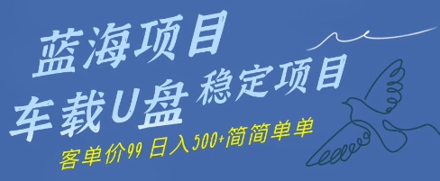 蓝海项目车载U盘稳定项目，挣的就是信息差，客单价99，日入几张简简单单-轻创副业圈