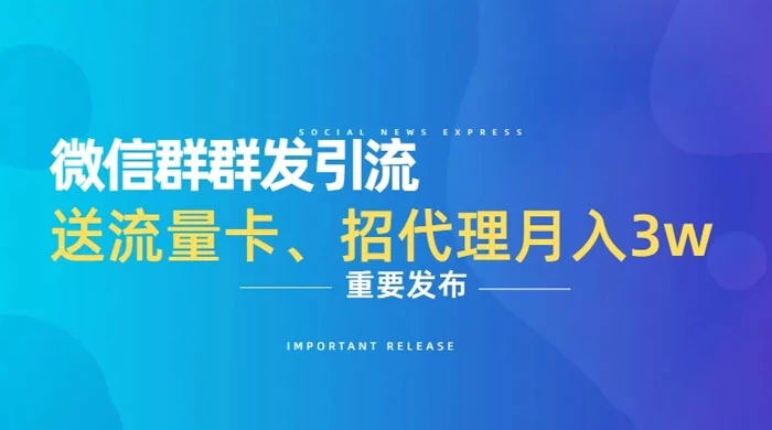 利用微信群卖流量卡，招代理，3 个月变现 11 万（附软件）-轻创副业圈