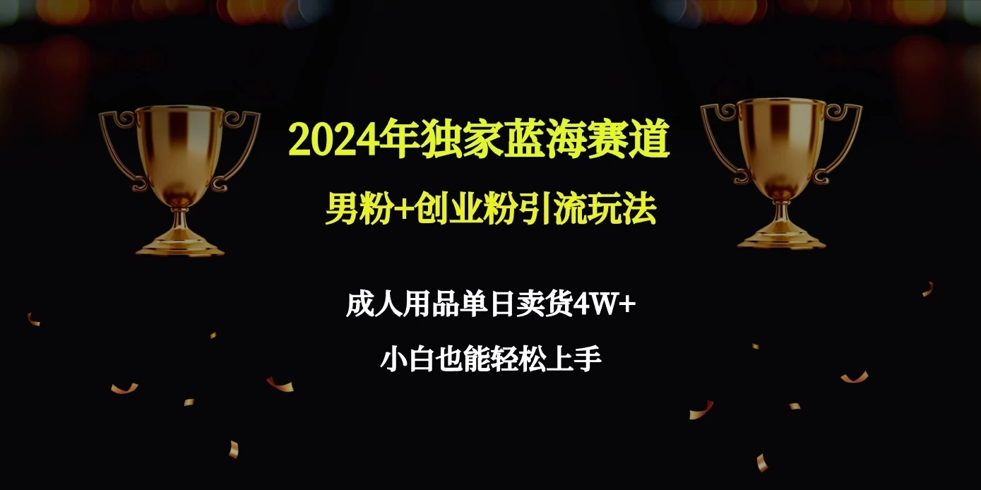 2024独家蓝海赛道，男粉＋创业粉引流玩法。-轻创副业圈