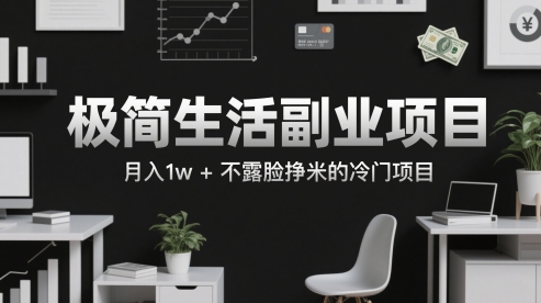 极简生活副业项目，月入1w+不露脸挣米的冷门项目-轻创副业圈