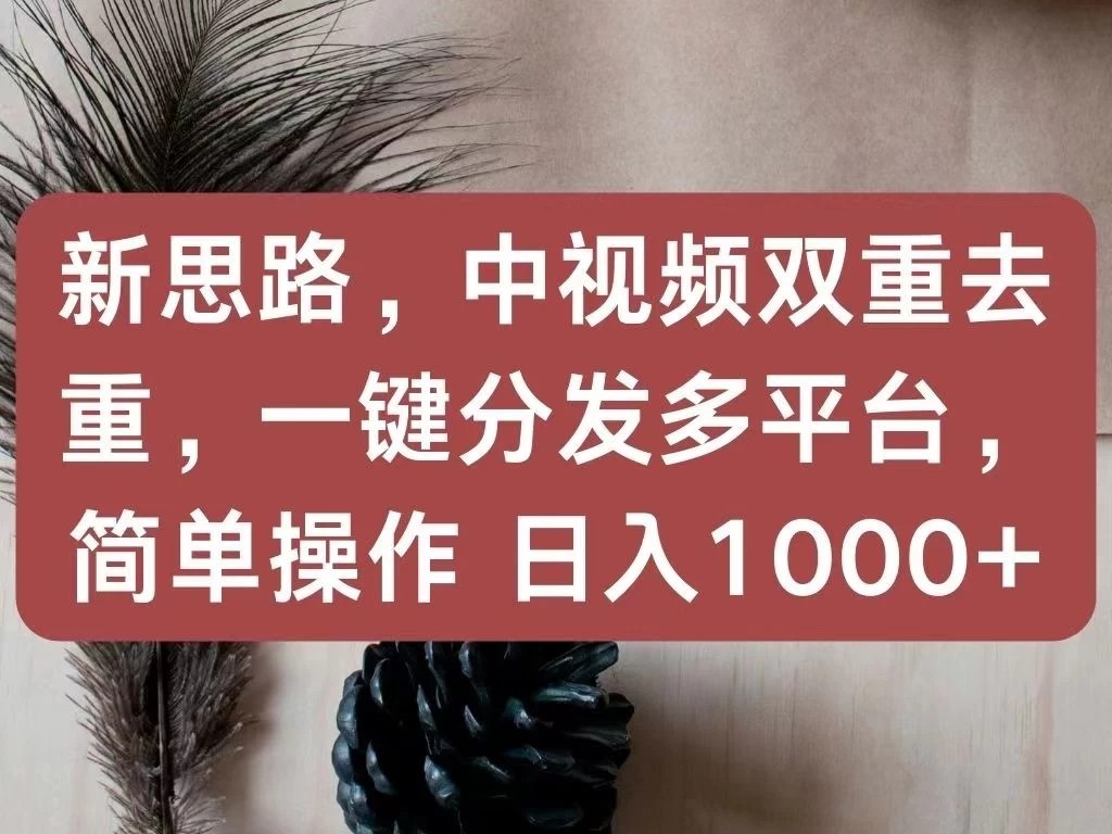 新思路，中视频双重去重，一键分发多平台，简单操作，日入1000+！快来试试吧！-轻创副业圈