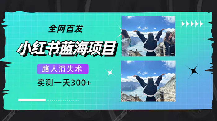 小红书蓝海项目，路人消失术，实测一天 300+-轻创副业圈
