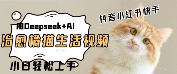 疯狂火爆，用Deepseek+AI做治愈橘猫系列视频，小白轻松制作+快速拿到结果-轻创副业圈