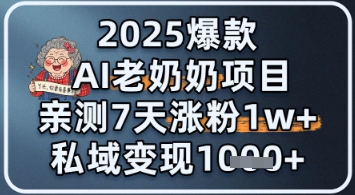 2025爆款 AI 老奶奶项目：亲测 7 天涨粉 1W+，私域变现 1k+-轻创副业圈