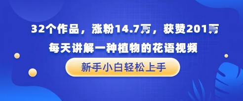 32个作品，涨粉14.7W，获赞201W，每天讲解一种植物的花语视频，无需任何技巧，新手小白轻松上手-轻创副业圈