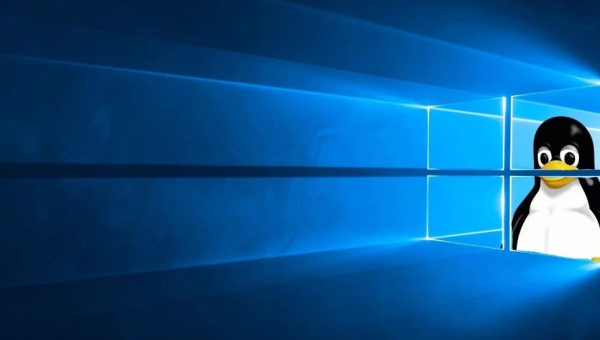 linux和windows软件一样吗-轻创副业圈