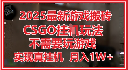 2025最新游戏搬砖，CSGO挂G，不需要玩游戏，实现真挂G，月入1W+【揭秘】-轻创副业圈