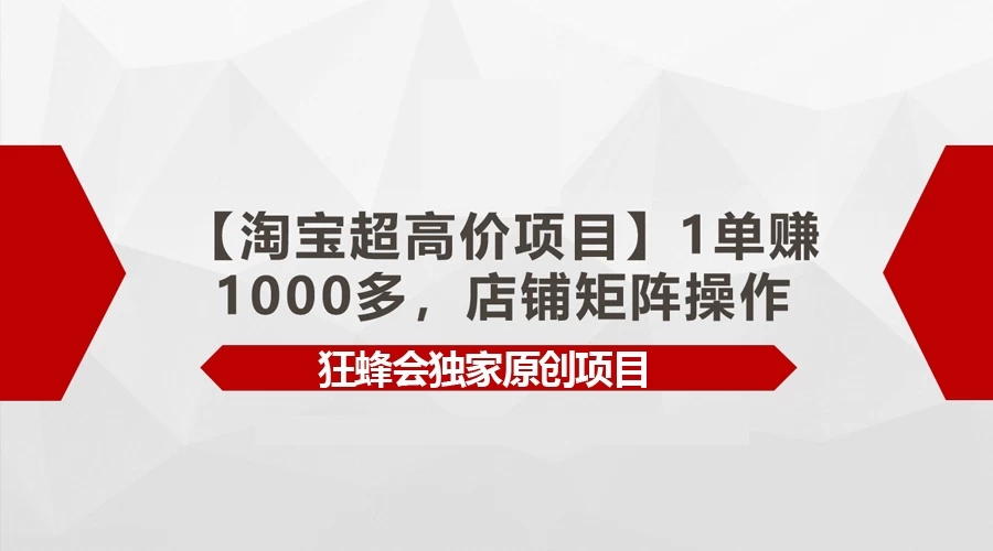 淘宝超高价项目，1单赚1000多，店铺矩阵操作-轻创副业圈