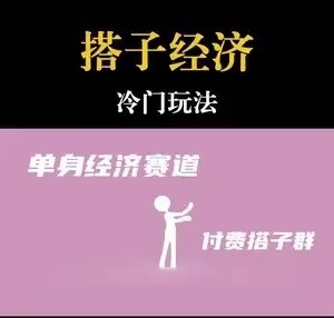 靠搭子经济月入5万每天两小时简单无脑好上手-轻创副业圈