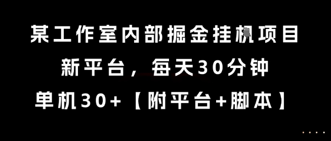 某工作室内部掘金挂G项目，新平台，每天30分钟，单机30+【揭秘】-轻创副业圈