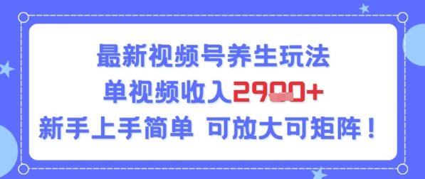 视频号养生玩法，单视频收入2.9k，新手上手简单-轻创副业圈