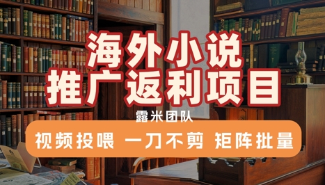 海外小说推广返利项目，视频投喂， 一刀不剪，矩阵批量-轻创副业圈