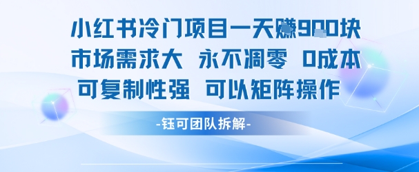 小红书冷门项目一天收益9张，市场需求大，0成本，可复制性强可以矩阵操作-轻创副业圈