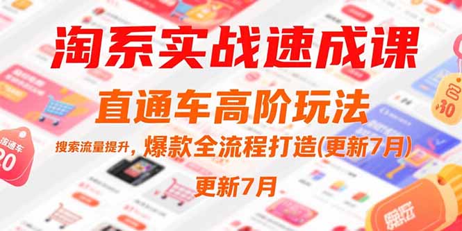 淘系实战速成课，直通车高阶玩法，搜索流量提升，爆款全流程打造(更新7月-轻创副业圈