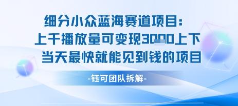 小众蓝海赛道项目：当天变现1k+适合新手操作 +适合长期玩-轻创副业圈