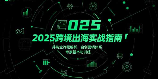 2025跨境出海实战指南，并购全流程解析，自创营销体系，专家基本功训练-轻创副业圈